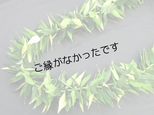 画像1: マイレ ラウ リィ ダブルオープンレイ現品限り