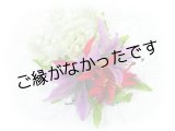 画像: タイガーリリイ/ピカケ/スパイダーリリィヘアクリップ　＜現品限り＞
