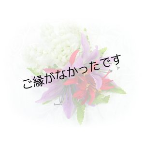 画像: タイガーリリイ/ピカケ/スパイダーリリィヘアクリップ　＜現品限り＞