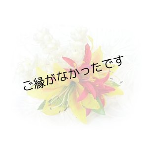 画像: タイガーリリイ/ピカケ/スパイダーリリィヘアクリップ ＜現品限り＞