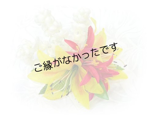 画像1: タイガーリリイ/ピカケ/スパイダーリリィヘアクリップ ＜現品限り＞