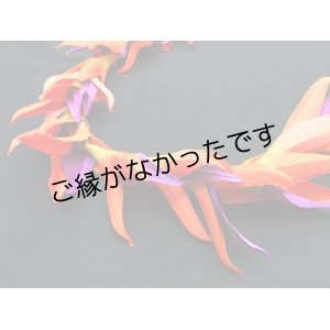 画像: バードオブパラダイスレイ(現品限り）