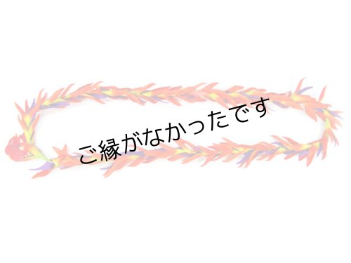 画像2: バードオブパラダイスロングレイ(現品限り）