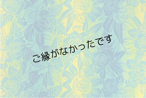 画像1: OUTLET端切れハワイ生地