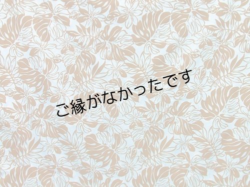 画像1: 直輸入ハワイアンファブリック