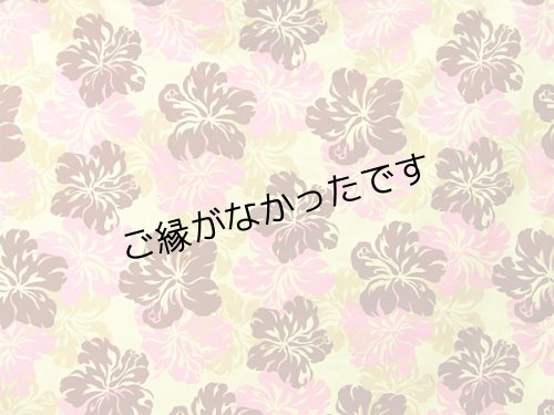 画像1: 直輸入ハワイアンファブリック