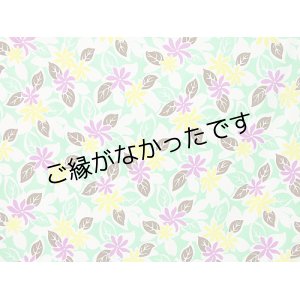 画像: 直輸入ハワイアンファブリック